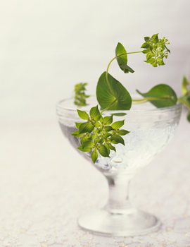 ���i�C���[�W1